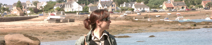 Stacks Image 8